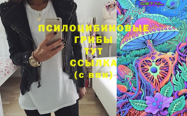 гидра Абдулино