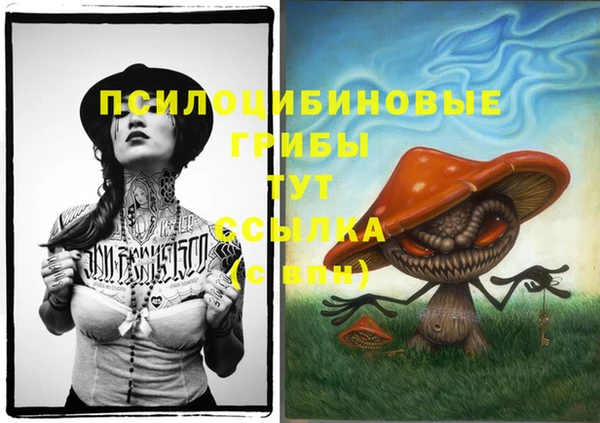 спайс Абаза