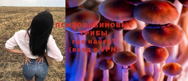 спайс Абаза