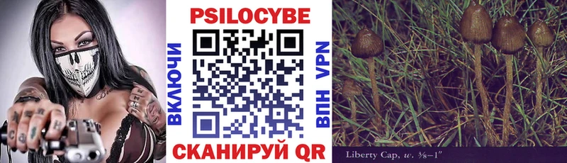 Галлюциногенные грибы Cubensis  цена наркотик  ссылка на мегу как зайти  Новосибирск 